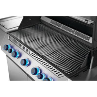 Napoleon Gas Grills P665VXRSIBNSS