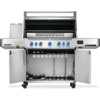 Napoleon Gas Grills P665VXRSIBNSS