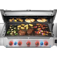 Napoleon Gas Grills P665VXRSIBNSS