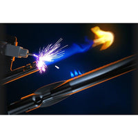 Napoleon Gas Grills P665VXRSIBNSS