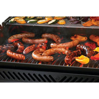 Napoleon Gas Grills RP625SIBNSS-2