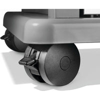 Napoleon Gas Grills RPS425RSIBNSS-2