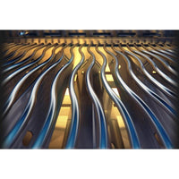 Napoleon Gas Grills RPS525RSIBPSS-2