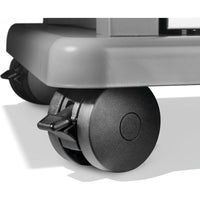 Napoleon Gas Grills RPS525RSIBPSS-2