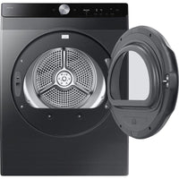 Samsung Electric DV25FG60BVBB/AC