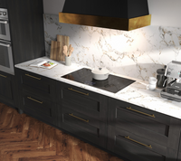 Signature Kitchen Suite Induction SKSIT3601GE