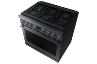 Samsung Range-NY36R9966PM