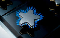 Thermador Gas PRG366WG