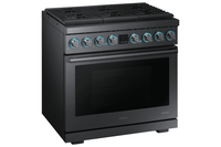 Samsung Range-NY36R9966PM