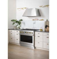 Monogram 36" All Gas Professional Range - ZGP364NDTSS