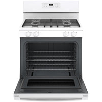 GE Gas JCGBS61DPWW