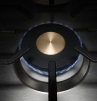Monogram Gas ZGU36RSLSS