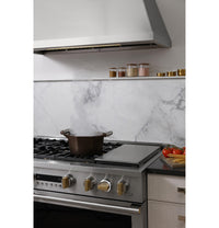 Monogram 48" All Gas Professional Range - ZGP486NDTSS