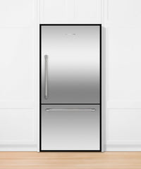 Fisher & Paykel Stainless Steel Refrigerator-RF170WRKJX6