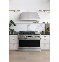 Monogram 48" Dual-Fuel Professional Range - ZDP486NDTSS