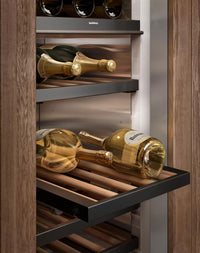 Gaggenau Wine Cooler-RW414765