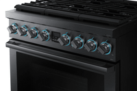 Samsung Range-NY36R9966PM