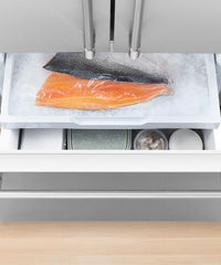 Fisher & Paykel Stainless Steel Refrigerator-RF201ACUSX1N