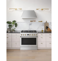 Monogram 36" All Gas Professional Range - ZGP364NDTSS