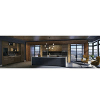 Monogram Single Oven ZTS90DSSNSS
