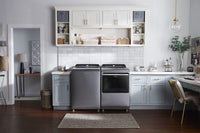 Whirlpool Gray Dryer-WGD7120HC